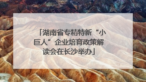 湖南省专精特新“小巨人”企业培育政策解读会在长沙举办