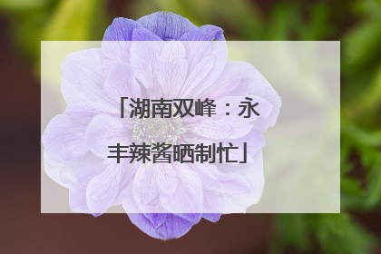 湖南双峰：永丰辣酱晒制忙
