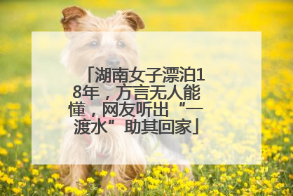 湖南女子漂泊18年，方言无人能懂，网友听出“一渡水”助其回家