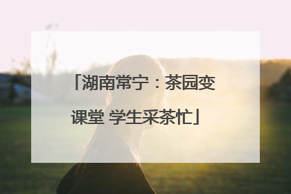 湖南常宁：茶园变课堂 学生采茶忙