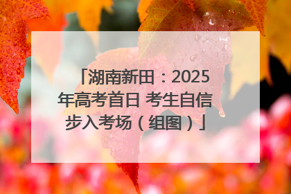 湖南新田：2025年高考首日 考生自信步入考场（组图）