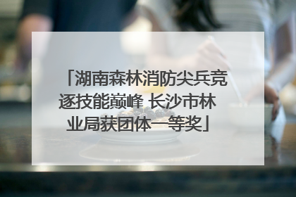 湖南森林消防尖兵竞逐技能巅峰 长沙市林业局获团体一等奖