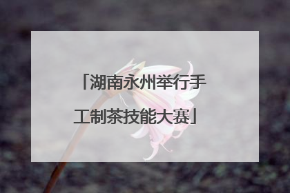 湖南永州举行手工制茶技能大赛