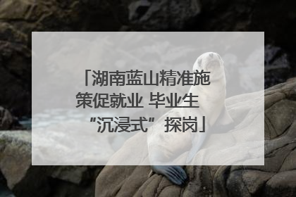 湖南蓝山精准施策促就业 毕业生“沉浸式”探岗
