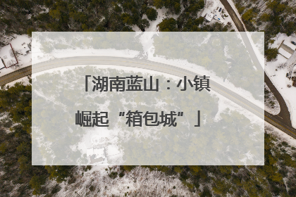 湖南蓝山：小镇崛起“箱包城”