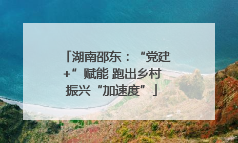 湖南邵东：“党建+”赋能 跑出乡村振兴“加速度”