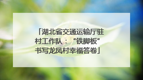 湖北省交通运输厅驻村工作队：“铁脚板”书写龙凤村幸福答卷