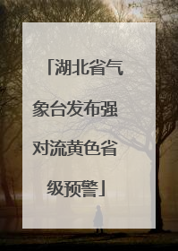 湖北省气象台发布强对流黄色省级预警