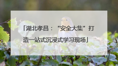 湖北孝昌：“安全大集”打造一站式沉浸式学习现场