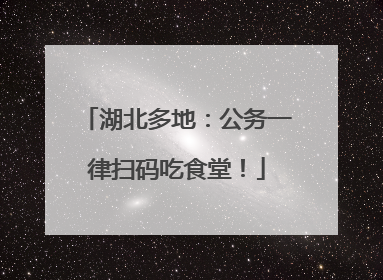 湖北多地：公务一律扫码吃食堂！