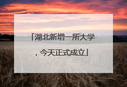 湖北新增一所大学，今天正式成立