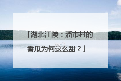 湖北江陵：潘市村的香瓜为何这么甜？