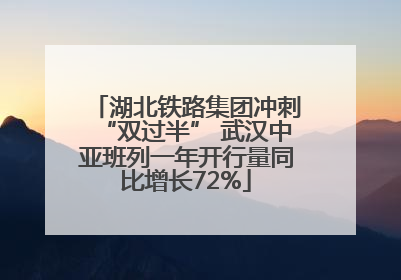 湖北铁路集团冲刺“双过半” 武汉中亚班列一年开行量同比增长72%