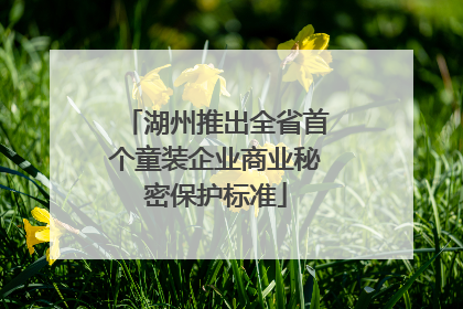 湖州推出全省首个童装企业商业秘密保护标准