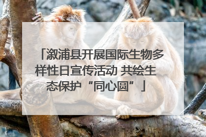 溆浦县开展国际生物多样性日宣传活动 共绘生态保护“同心圆”