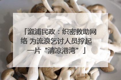 溆浦民政：织密救助网络 为流浪乞讨人员撑起一片“清凉港湾”