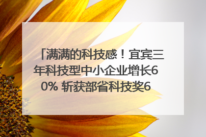 满满的科技感！宜宾三年科技型中小企业增长60% 斩获部省科技奖6项｜您牵挂的四川
