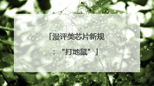 漫评美芯片新规：“打地鼠”