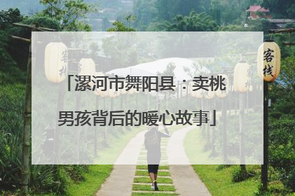 漯河市舞阳县：卖桃男孩背后的暖心故事