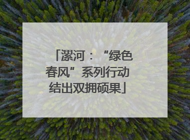 漯河：“绿色春风”系列行动结出双拥硕果