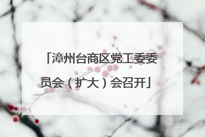 漳州台商区党工委委员会（扩大）会召开