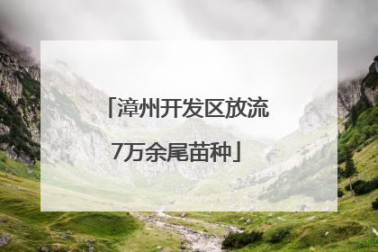 漳州开发区放流7万余尾苗种