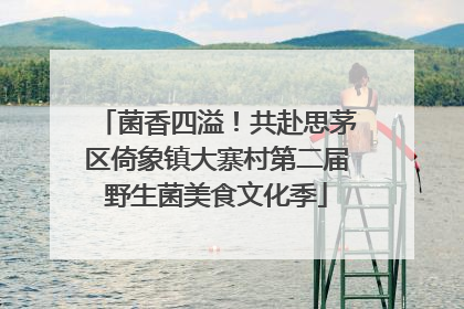 菌香四溢！共赴思茅区倚象镇大寨村第二届野生菌美食文化季