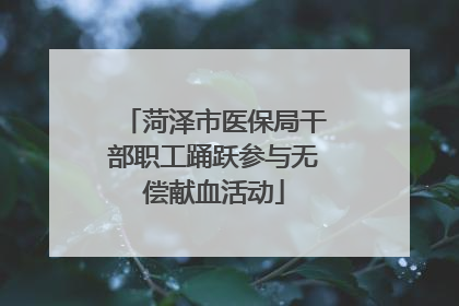 菏泽市医保局干部职工踊跃参与无偿献血活动