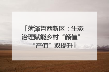 菏泽鲁西新区：生态治理赋能乡村“颜值”“产值”双提升