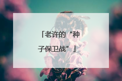 老许的“种子保卫战”