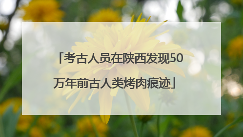 考古人员在陕西发现50万年前古人类烤肉痕迹
