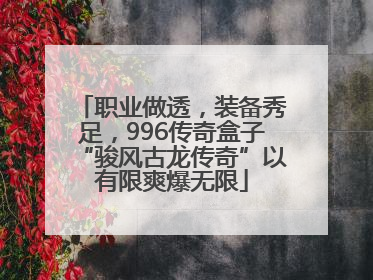 职业做透，装备秀足，996传奇盒子“骏风古龙传奇”以有限爽爆无限