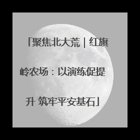 聚焦北大荒｜红旗岭农场：以演练促提升 筑牢平安基石
