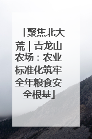 聚焦北大荒｜青龙山农场：农业标准化筑牢全年粮食安全根基