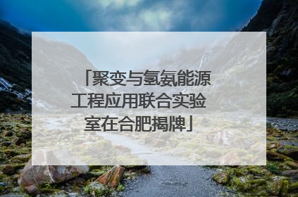 聚变与氢氨能源工程应用联合实验室在合肥揭牌