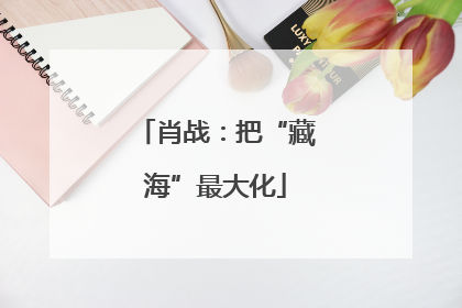 肖战：把“藏海”最大化