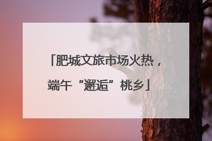 肥城文旅市场火热，端午“邂逅”桃乡