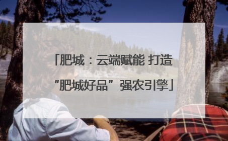肥城：云端赋能 打造“肥城好品”强农引擎
