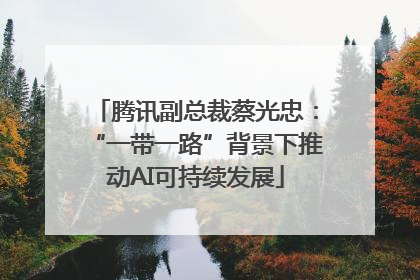 腾讯副总裁蔡光忠：“一带一路”背景下推动AI可持续发展