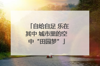 自给自足 乐在其中 城市里的空中“田园梦”