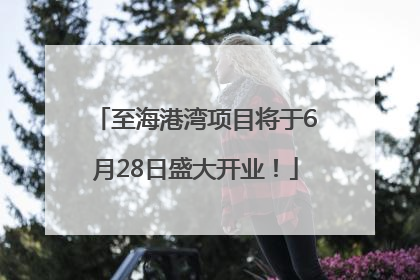 至海港湾项目将于6月28日盛大开业！