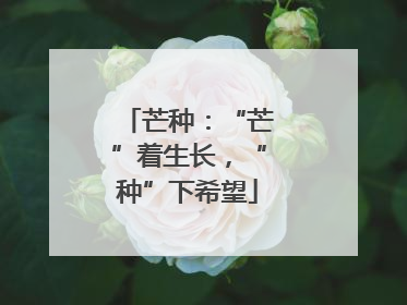芒种：“芒”着生长，“种”下希望