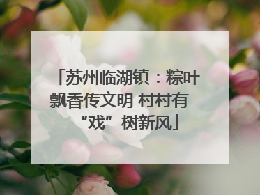 苏州临湖镇：粽叶飘香传文明 村村有“戏”树新风