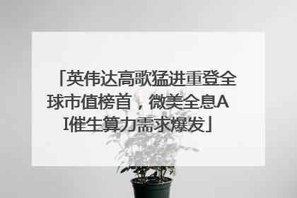 英伟达高歌猛进重登全球市值榜首，微美全息AI催生算力需求爆发