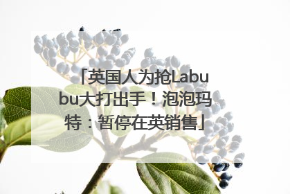 英国人为抢Labubu大打出手！泡泡玛特：暂停在英销售