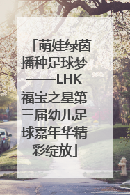 萌娃绿茵播种足球梦——LHK福宝之星第三届幼儿足球嘉年华精彩绽放
