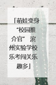 萌娃变身 “校园推介官” 滨州实验学校乐考闯关乐趣多
