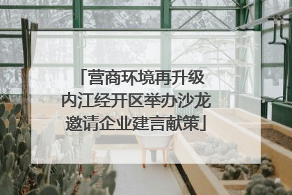 营商环境再升级 内江经开区举办沙龙邀请企业建言献策