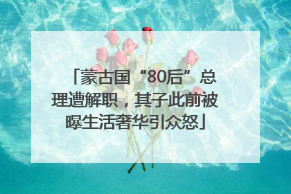 蒙古国“80后”总理遭解职，其子此前被曝生活奢华引众怒