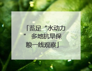 蓄足“水动力” 多地抗旱保粮一线观察